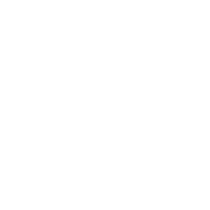 image icon